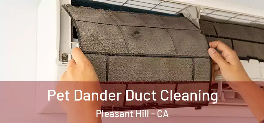 Pet Dander Duct Cleaning Pleasant Hill - CA