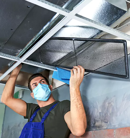 About Air Duct Bacteria Removal in Pleasant Hill