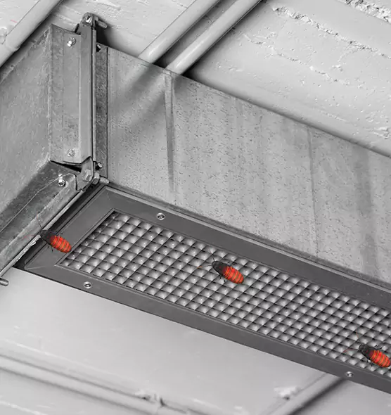 About Air Duct Cockroach Removal in Pleasant Hill, CA