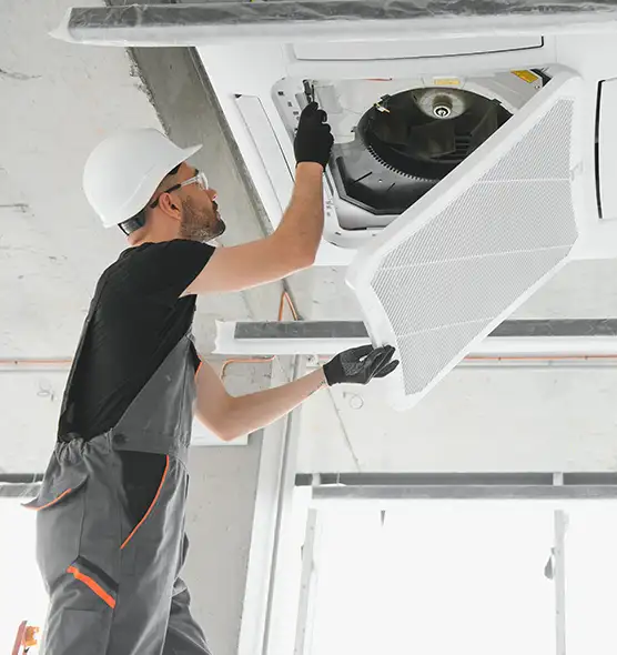 About Air Duct Rodent Removal in Pleasant Hill, CA