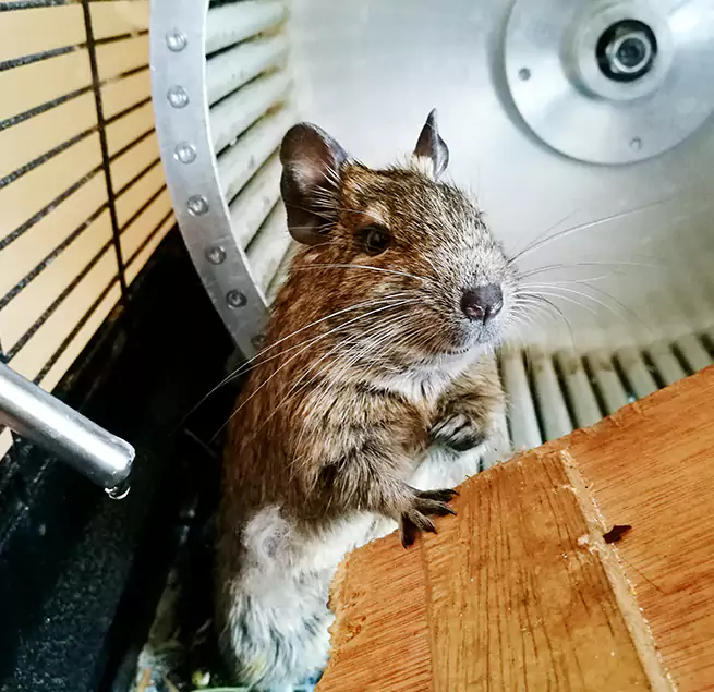 Why Homeowners & Businesses Trust Us Pleasant Hill, CA