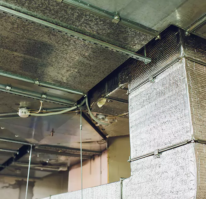 Why Homeowners & Businesses Trust Us in Pleasant Hill, CA?